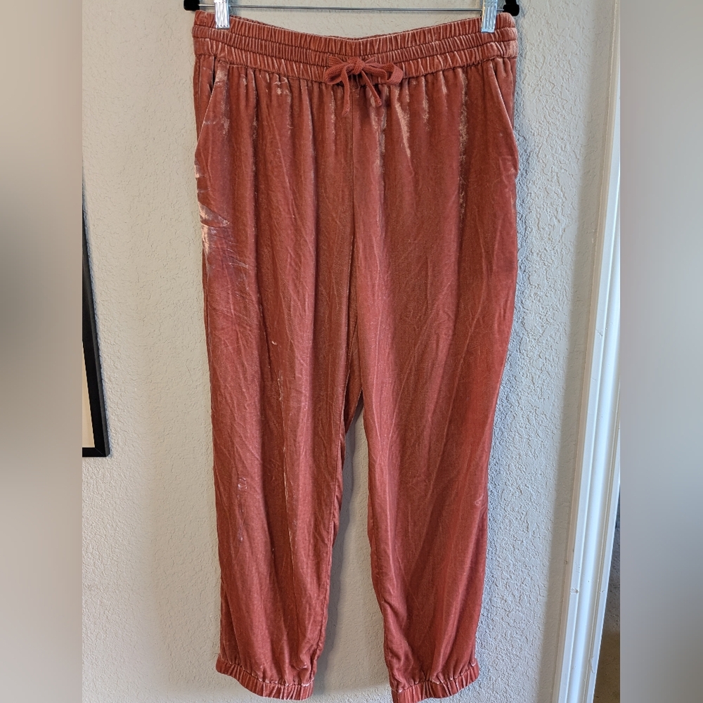 J. Crew Velvet Joggers Elastic Drawstring Waist Rust Terracotta Color Shimmer 10